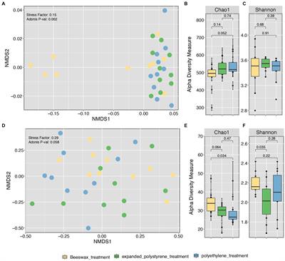 The Bacterial and Fungal Gut Microbiota of the Greater Wax Moth, Galleria mellonella L. Consuming Polyethylene and Polystyrene